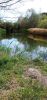 IMG_20230702_150137.thumb.jpg.a63ed5e784bf3219732bffc02c4d9459.jpg
