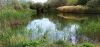 IMG_20230702_150258.thumb.jpg.f041498b52efd5072804a636e9507df2.jpg