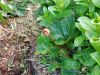 IMG_20230708_010410_965.thumb.jpg.eb94004910123030026b5f37dcef18a4.jpg