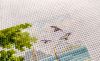 IMG_20230711_174522.thumb.jpg.aed2b286b11d0ea9f8093a597ec74e48.jpg