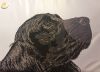IMG_20230713_204948.thumb.jpg.b612a82f424805a3ee6a9ea7eb561d73.jpg