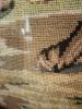 IMG_20230714_145555.thumb.jpg.23add7f4e8175b0976e11fc83cd9635b.jpg