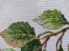 IMG_20230723_130901.thumb.jpg.546819750269c7d4e8186d7b50d15886.jpg