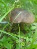 IMG_20230723_190036_707.thumb.jpg.ce5b81daa0661b7b776cc71771a8daba.jpg