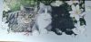 IMG_20230727_201033.thumb.jpg.c7e6d78ab58f0d380614987267fc4c33.jpg