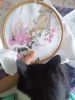 IMG_20230729_105659.thumb.jpg.5c05463afce28ad25c191a5f61cc0438.jpg