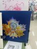 IMG_20230729_134435.jpg