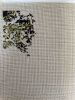 IMG_6898.jpeg