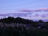 P1100597.thumb.JPG.cbc678d5e90b6b2739654c27cc8260b0.JPG