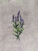 PXL_20230704_065010301_exported_1299_1688454323497.thumb.jpg.2823c688c5f095a5c56a76c83e95ad1f.jpg