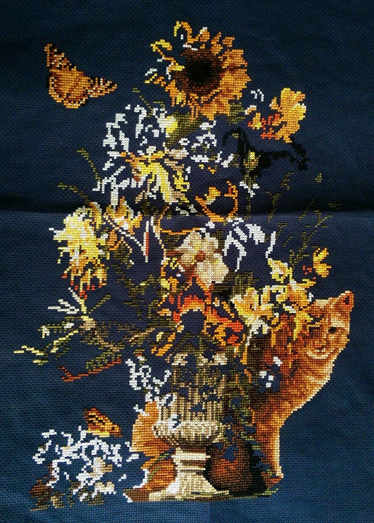 cat2007.jpg
