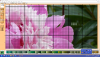 image.thumb.png.71eeaae157eefb442cc7e1e7f4454c2b.png