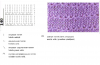 image.thumb.png.c888616c96a48eefe91efab713b182f8.png