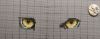 upload_2023_07_20_11_25_27_555.thumb.jpg.6549e98e6ede56bef910eb8613914275.jpg