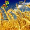 1367152057_12.thumb.jpeg.d75f2935ff8a220cad69166b06ec5193.jpeg