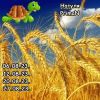 1517020584_5.thumb.jpeg.d0caf3174df4a26278bbcda4fd60bd6f.jpeg