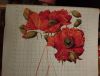 1691995611933.thumb.jpg.d7ecf35e5fb706abb69e80380867c281.jpg