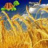 2014332564_5.thumb.jpeg.b435dfe44caa26065546969dc8575eff.jpeg