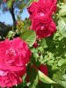 20230621_103928.thumb.jpg.8525afdfff8edb36f1404d13cb5234c3.jpg?1691305259334