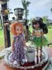 20230714_174432.thumb.jpg.ebe8c9f2a774eef3822b087b771a4775.jpg?1691582806014