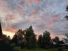 20230715_212006.thumb.jpg.05dedbb8aaf3ec1e38e34361efcfea8a.jpg