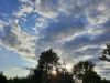 20230719_195113.thumb.jpg.5d94a97f97c8cfe336c73879bdf56a28.jpg