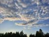20230721_201650.thumb.jpg.eb4abc7b9c0e9799b094b4a0218d14ca.jpg