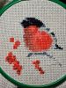 20230731_223627.thumb.jpg.58a3ad415ec94bf32808bb98d04a5404.jpg