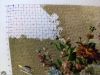 24441299_230114.thumb.jpg.8a2f1812d98535c904fc78fddb11ac9d.jpg