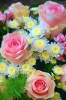 2f7c4237c381aad8f242fb4f55511663.thumb.png.6a42f9c23ab022476fb10d6b07ec2ad8.png