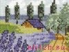 37586.thumb.jpg.bcd6b6faab3580ae124404f47e397f72.jpg