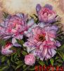 Мережка К-177, Tender Peonies