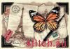 3DAB6AC2-DB45-492A-8B10-A1C4A182C0AA.thumb.jpeg.70cc4bb100975f81c3ac31e43bd2681d.jpeg
