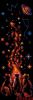 43CEAF69-BDA2-49AD-8F71-44B21CCB643C.thumb.jpeg.f543dd8735df6247985bee050ff81cc5.jpeg
