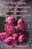 58079-s-dnem-rozhdeniya-tsvety.thumb.jpg.4f5a8599aa0fca77af6e4baa421dde41.jpg?1692943065237