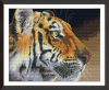 649220576_.thumb.png.ce0697fec4f915718b19d0bb5548f106.png