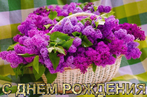863338701_____.thumb.gif.f2c6b38e74a4163dbdabe818007e7f3b.gif
