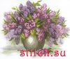 870FA1DE-1193-4963-8494-D89D7F7A7D0F.thumb.jpeg.bcfd09fd699f1e18ad23346dad0f0996.jpeg