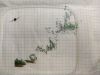 клевое221227 к5.jpg