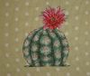 DSC06468.thumb.JPG.23a54a3ce2918ce17a6b818ce1c8fa8f.JPG