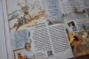 DSC_7006.thumb.JPG.b6cf95ac24a99c07426f76032be53084.JPG