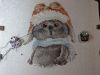 IMAG2743.thumb.jpg.6a2398be4a6b5dd08a3165f440f47d1a.jpg