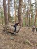 IMG-20230827-WA0004.thumb.jpg.b6b0f8806fd2e1c4eccd70a906e5c9b7.jpg