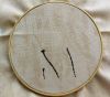 IMG-20230827-WA0017.jpg