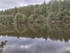 IMG-20230827-WA0019.thumb.jpg.c95b04a58d468a8884d1c50cada5c865.jpg