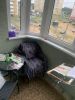 IMG-7123.thumb.jpg.daafaad923d74d20b6ae538b46db5c7d.jpg