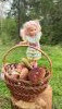 IMG_20230731_171604.thumb.jpg.2413baa800968f064542bb3e6334f13e.jpg?1691582813810