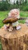 IMG_20230731_171732.thumb.jpg.a1fffd33d905dcbc1cc1985489d75189.jpg?1691582810902