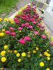 IMG_20230813_114552.thumb.jpg.1fb2bf9dc56e6db0486e3c25f46febb1.jpg