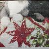 IMG_20230818_200232.thumb.jpg.ccc7c754037b0584ffeebabae7386c56.jpg